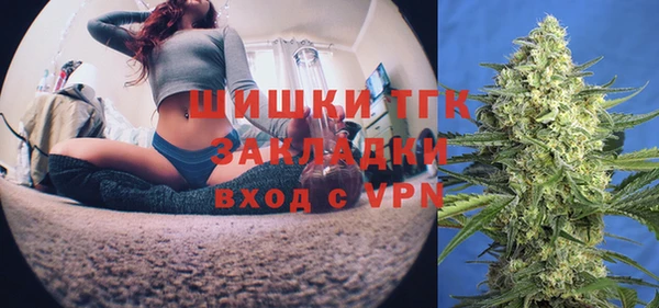 хмурый Бородино