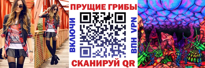 Галлюциногенные грибы ЛСД  хочу наркоту  Сретенск 